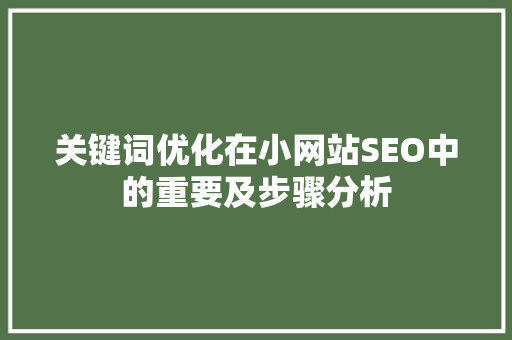 关键词优化在小网站SEO中的重要及步骤分析