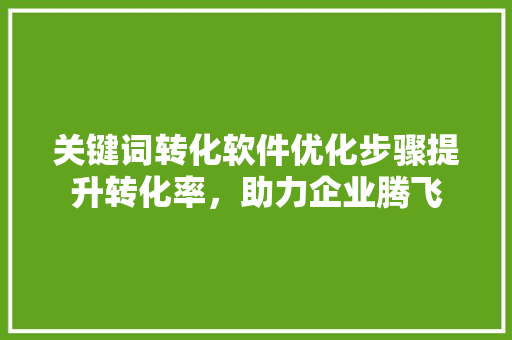 关键词转化软件优化步骤提升转化率，助力企业腾飞
