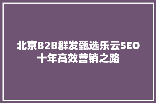 北京B2B群发甄选乐云SEO十年高效营销之路