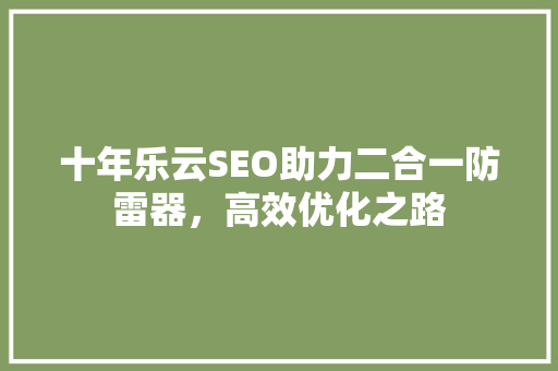 十年乐云SEO助力二合一防雷器，高效优化之路