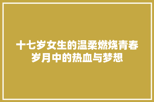 十七岁女生的温柔燃烧青春岁月中的热血与梦想