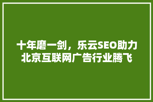 十年磨一剑，乐云SEO助力北京互联网广告行业腾飞