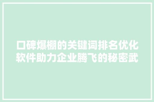 口碑爆棚的关键词排名优化软件助力企业腾飞的秘密武器