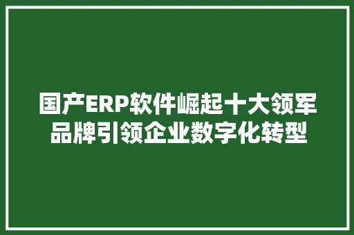 国产ERP软件崛起十大领军品牌引领企业数字化转型