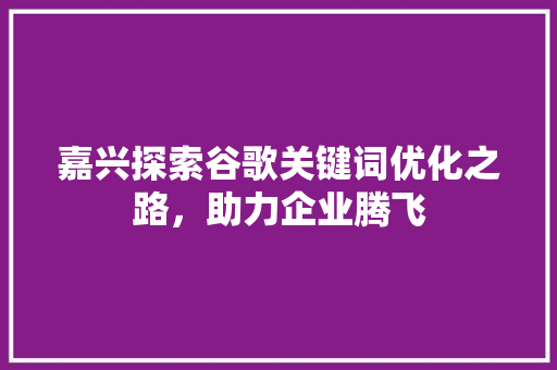 嘉兴探索谷歌关键词优化之路，助力企业腾飞