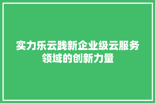 实力乐云践新企业级云服务领域的创新力量
