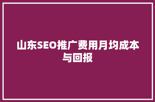 山东SEO推广费用月均成本与回报