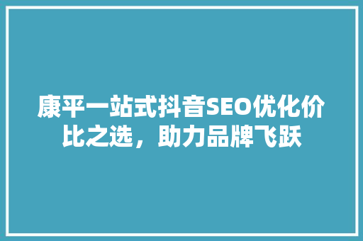康平一站式抖音SEO优化价比之选，助力品牌飞跃