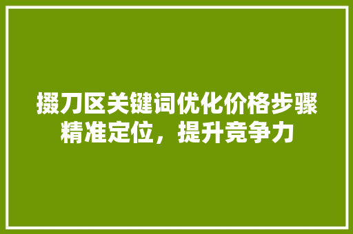 掇刀区关键词优化价格步骤精准定位，提升竞争力