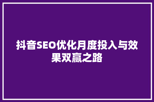 抖音SEO优化月度投入与效果双赢之路