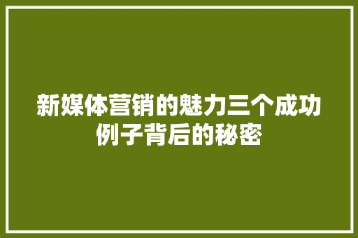 新媒体营销的魅力三个成功例子背后的秘密