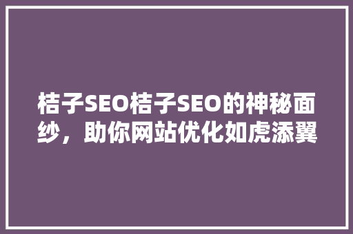 桔子SEO桔子SEO的神秘面纱，助你网站优化如虎添翼