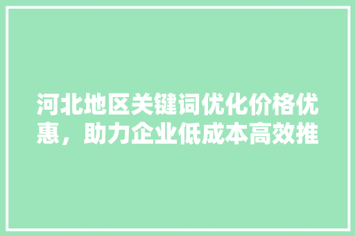 河北地区关键词优化价格优惠，助力企业低成本高效推广