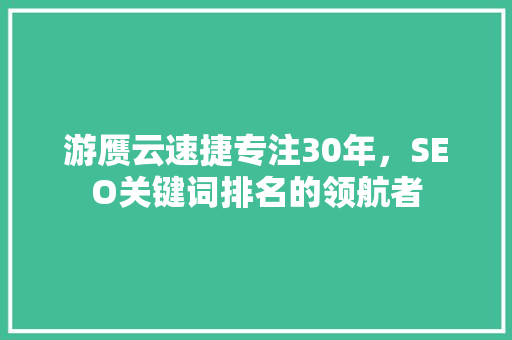 游赝云速捷专注30年，SEO关键词排名的领航者