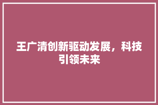 王广清创新驱动发展，科技引领未来