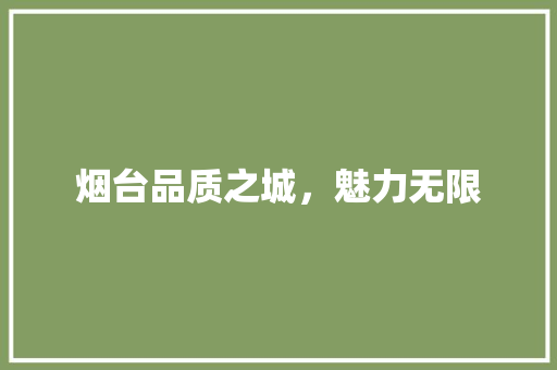 烟台品质之城，魅力无限