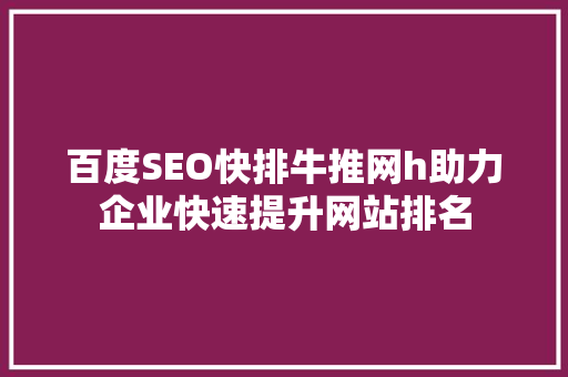 百度SEO快排牛推网h助力企业快速提升网站排名