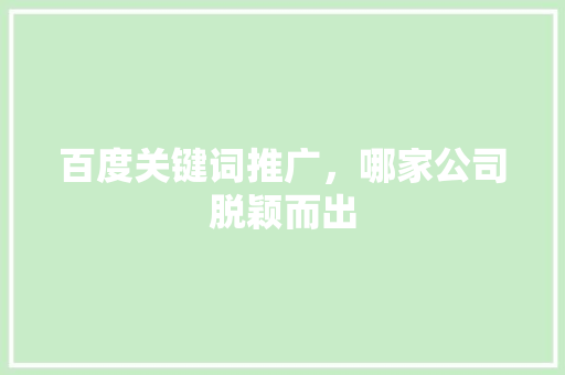 百度关键词推广，哪家公司脱颖而出