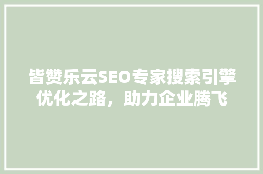 皆赞乐云SEO专家搜索引擎优化之路，助力企业腾飞