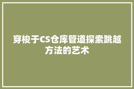 穿梭于CS仓库管道探索跳越方法的艺术
