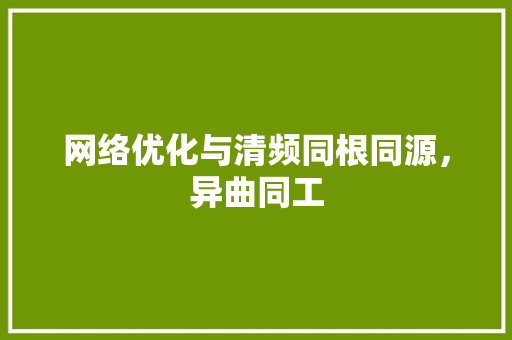 网络优化与清频同根同源，异曲同工