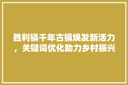 胜利镇千年古镇焕发新活力，关键词优化助力乡村振兴