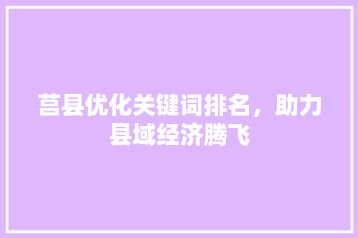 莒县优化关键词排名，助力县域经济腾飞