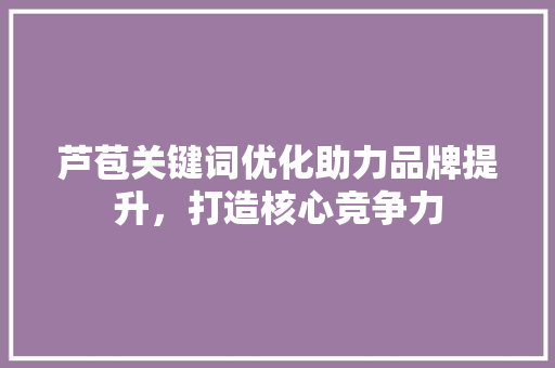 芦苞关键词优化助力品牌提升，打造核心竞争力