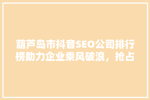 葫芦岛市抖音SEO公司排行榜助力企业乘风破浪，抢占流量高地