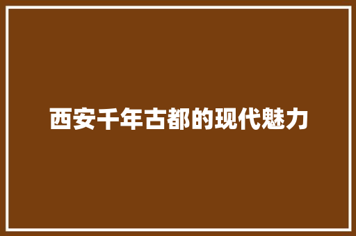西安千年古都的现代魅力