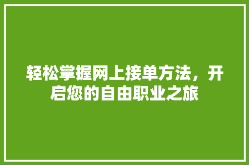 轻松掌握网上接单方法，开启您的自由职业之旅