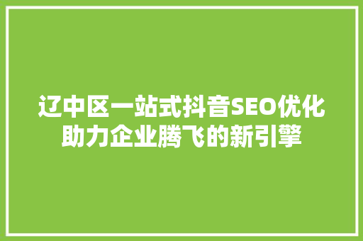 辽中区一站式抖音SEO优化助力企业腾飞的新引擎