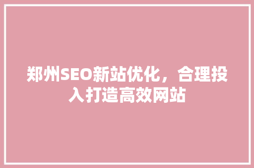 郑州SEO新站优化，合理投入打造高效网站