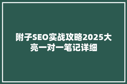 附子SEO实战攻略2025大亮一对一笔记详细
