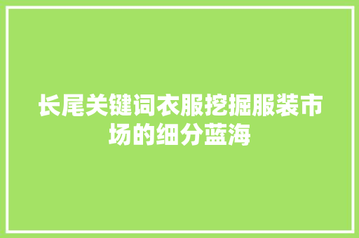 长尾关键词衣服挖掘服装市场的细分蓝海