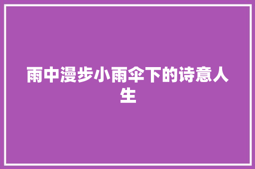 雨中漫步小雨伞下的诗意人生