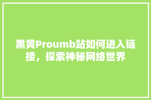 黑黄Proumb站如何进入链接，探索神秘网络世界
