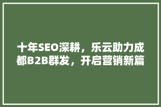十年SEO深耕，乐云助力成都B2B群发，开启营销新篇章