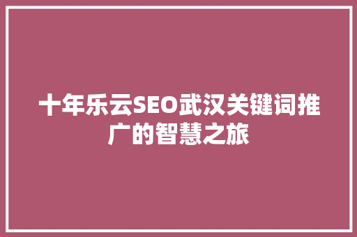 十年乐云SEO武汉关键词推广的智慧之旅