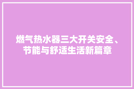 燃气热水器三大开关安全、节能与舒适生活新篇章
