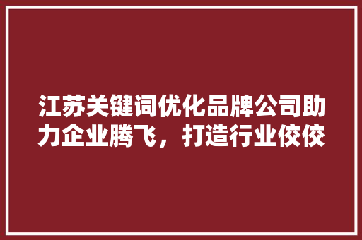江苏关键词优化品牌公司助力企业腾飞，打造行业佼佼者