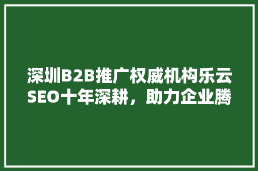 深圳B2B推广权威机构乐云SEO十年深耕，助力企业腾飞