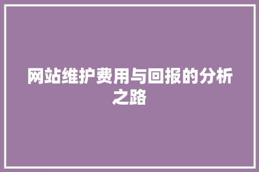 网站维护费用与回报的分析之路