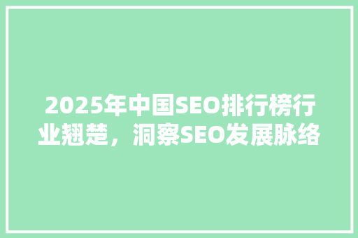 2025年中国SEO排行榜行业翘楚，洞察SEO发展脉络