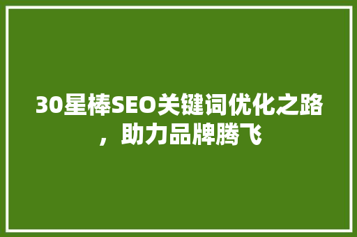30星棒SEO关键词优化之路，助力品牌腾飞