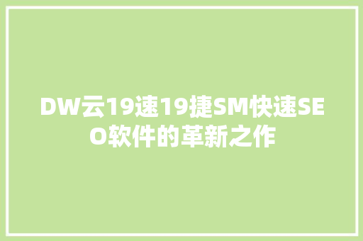 DW云19速19捷SM快速SEO软件的革新之作