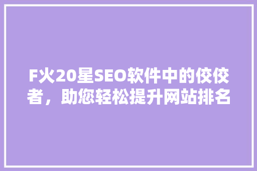 F火20星SEO软件中的佼佼者，助您轻松提升网站排名