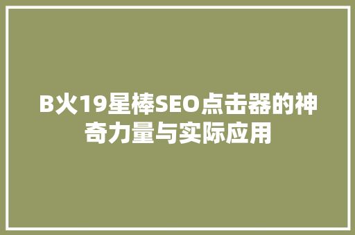 B火19星棒SEO点击器的神奇力量与实际应用