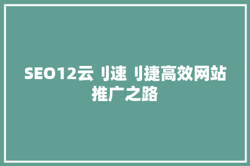 SEO12云刂速刂捷高效网站推广之路