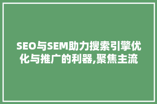 SEO与SEM助力搜索引擎优化与推广的利器,聚焦主流搜索引擎